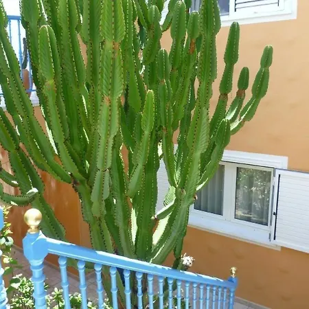 Σπίτι διακοπών Charmantes In Mit Terrasse, Garten Und Pool *